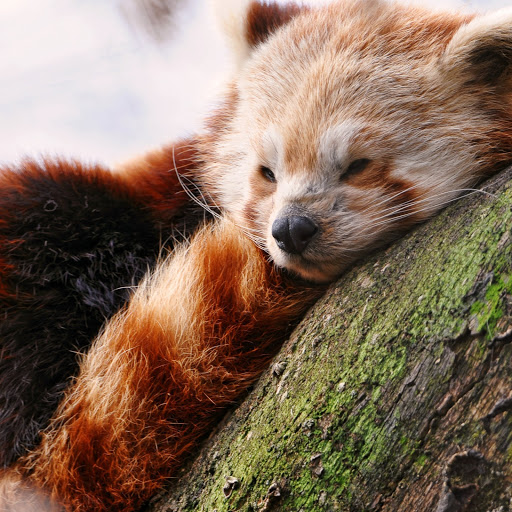 Hd-166708-ascw166708