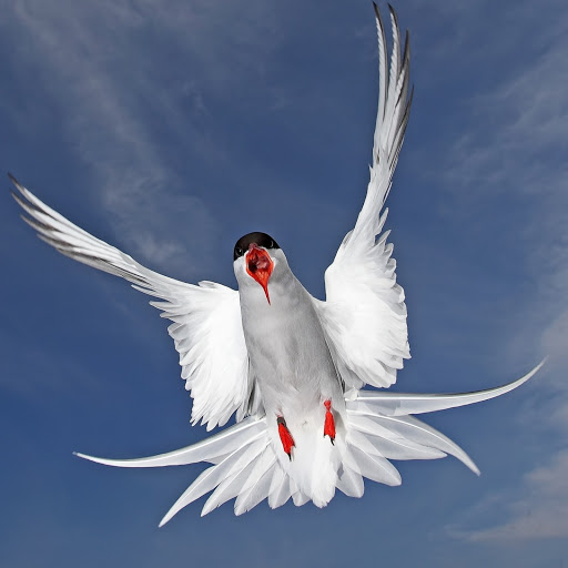 Hd-182243-ascw182243