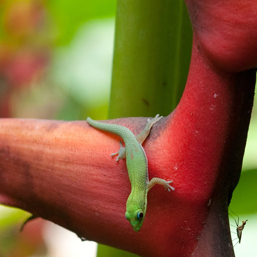 Hd-179869-ascw179869