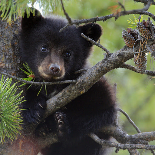 Hd-166378-ascw166378