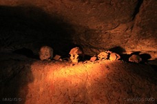 IMG_4785 IMG_4785