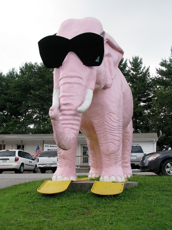 [9968%2520Tennessee%252C%2520Cookeville%2520-%2520Pink%2520Elephant%2520with%2520giant%2520sunglasses%255B3%255D.jpg]