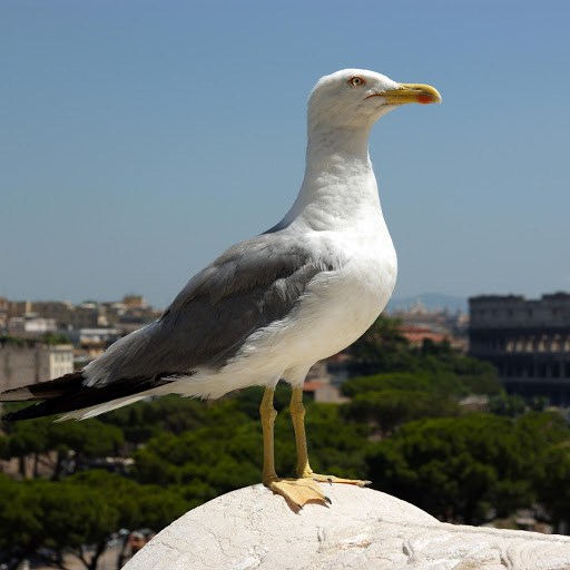 Hd-178242-ascw178242