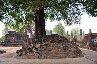 DSC_0893.JPG