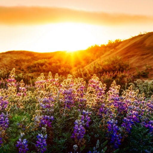 Hd-142225-ascw142225