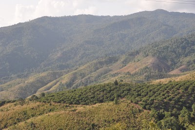 DSC_0863.JPG