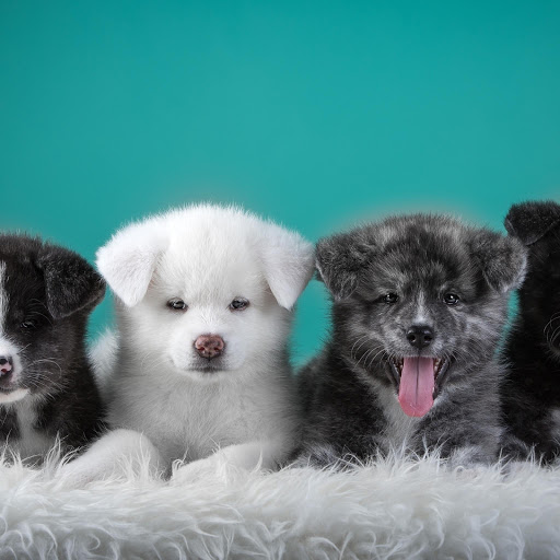 Hd-166803-ascw166803