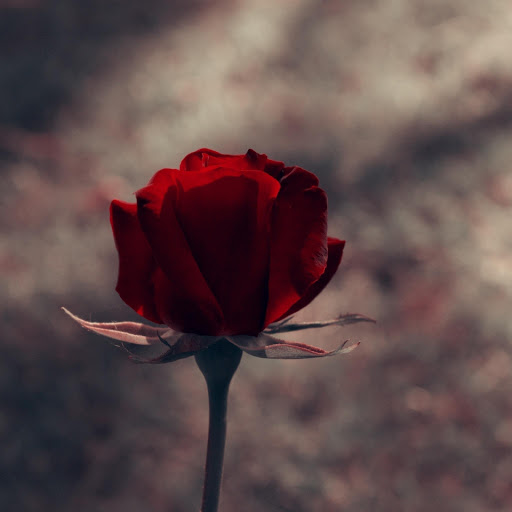 Hd-177346-ascw177346