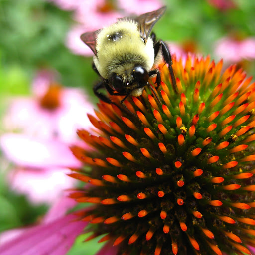 Hd-145051-ascw145051