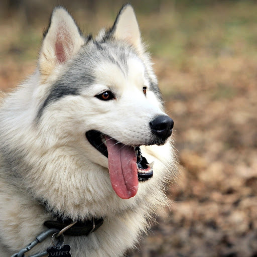 Hd-156966-ascw156966