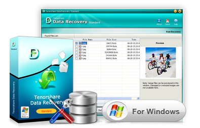 data_recovery_standard.jpg