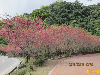 a024 - 台7甲