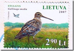 great snipe bird on stamps