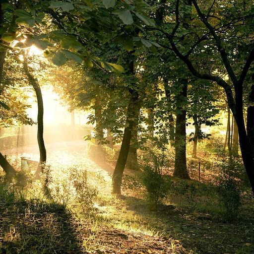 Hd-156569-ascw156569