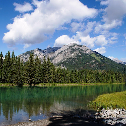 Hd-142111-ascw142111