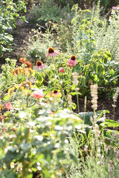Otten Gartengestaltung, fräulein otten: wir sind im garten…., Design ideen