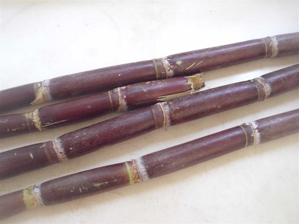 The DoItYourself Mom DIY Fresh Sugarcane (or Sugar Cane) Syrup