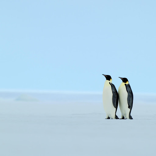 Hd-159723-ascw159723