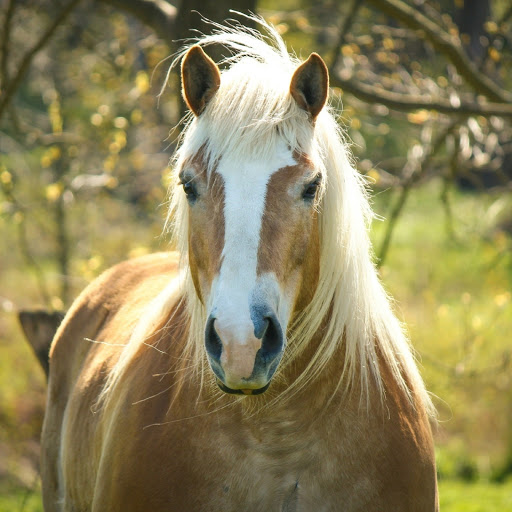 Hd-181122-ascw181122