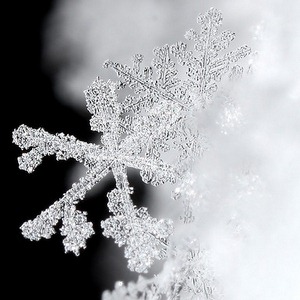 [snowflake%2520by%2520andrew%2520magill%255B2%255D.jpg]