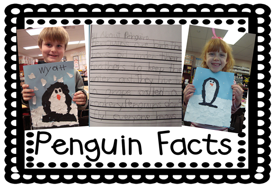 penguin facts2