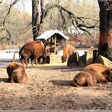 Tierparkbesuch im Februar (2015)