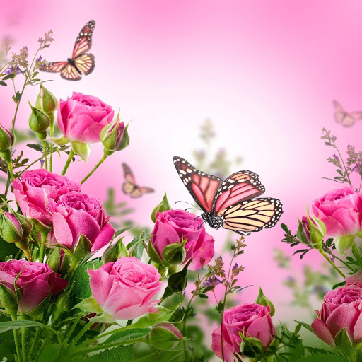 Hd-143080-ascw143080