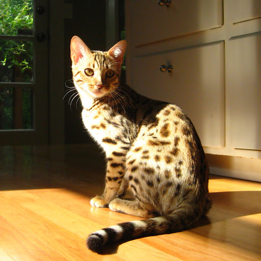 Hd-182606-ascw182606