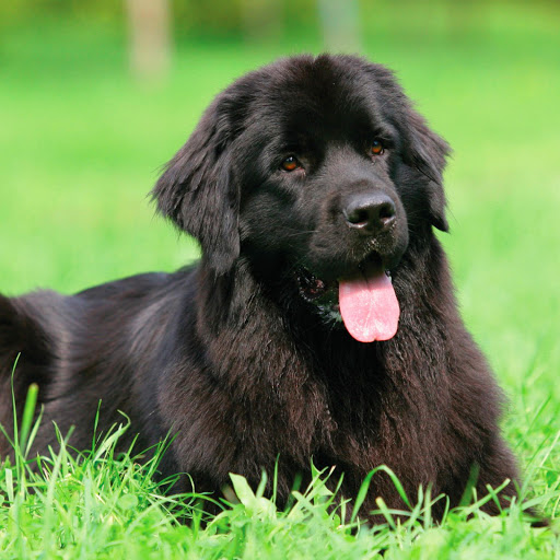 Hd-156614-ascw156614