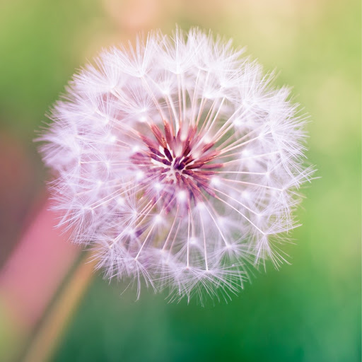 Hd-144740-ascw144740