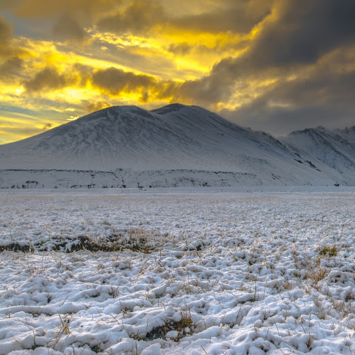 Hd-141119-ascw141119