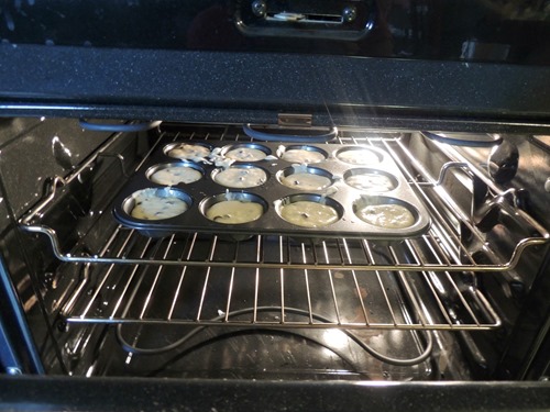 Chocolate Chip Muffins