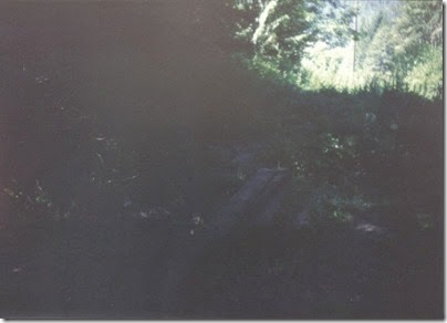 Abandoned Tracks leading from Pioneer Tunnel in 1994