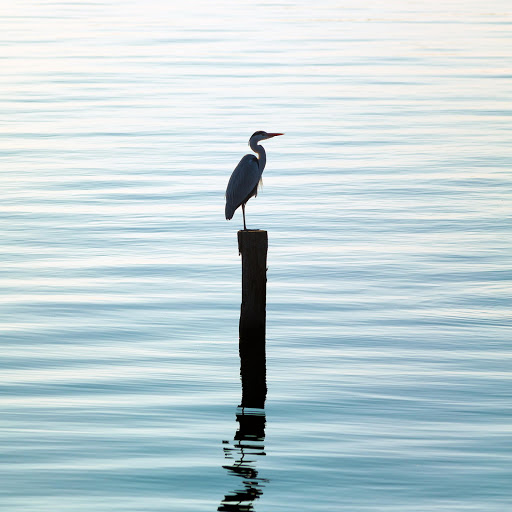 Hd-159501-ascw159501