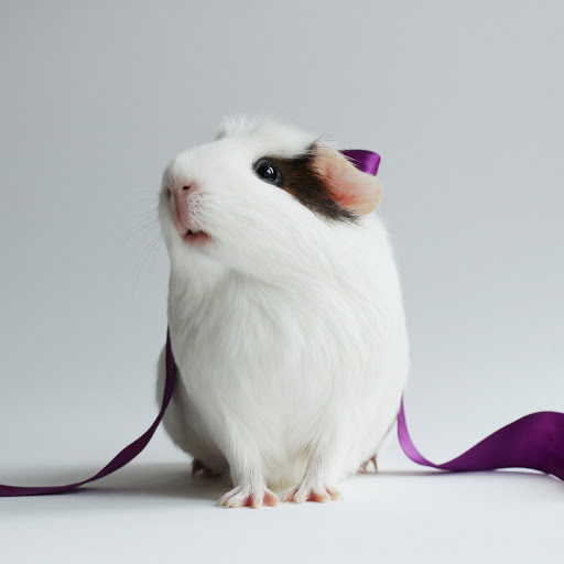 Hd-183281-ascw183281