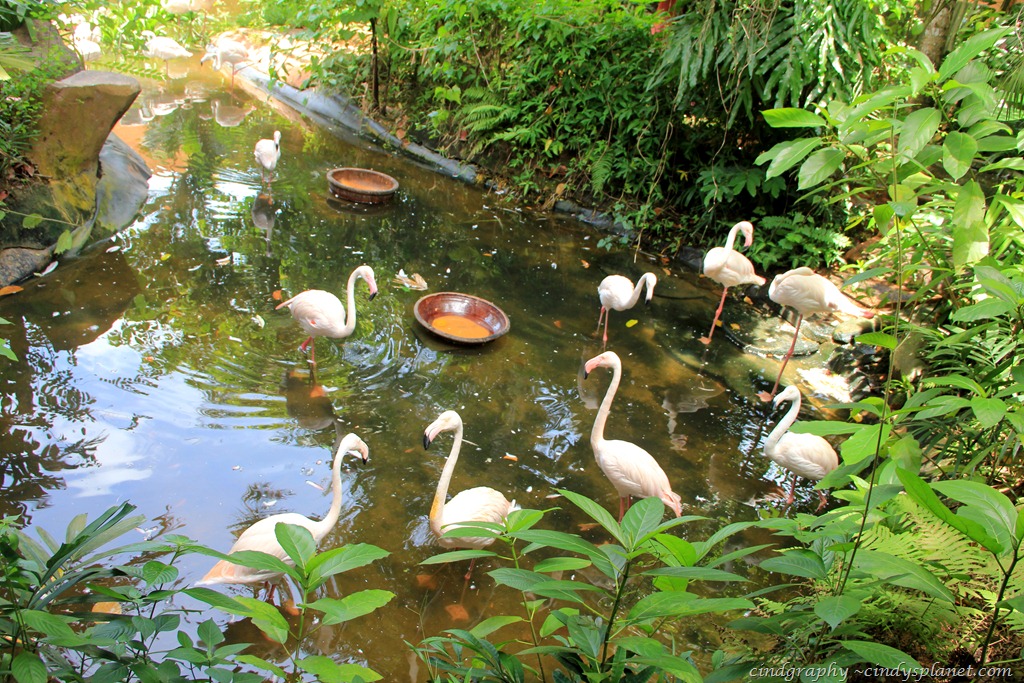 [Langkawi117%255B3%255D.jpg.webp]