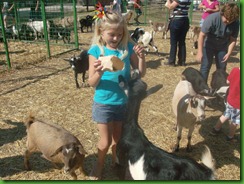Hailey and goats