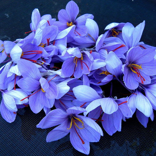 Hd-171430-ascw171430