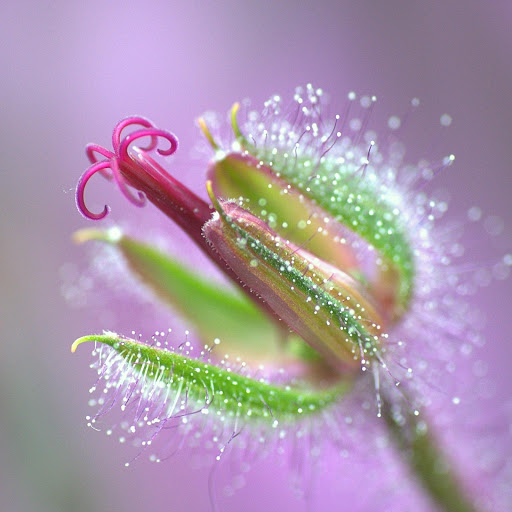 Hd-164404-ascw164404