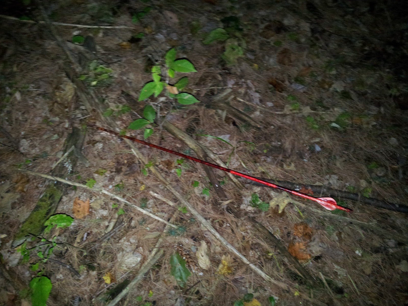 Arrow