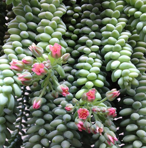 [image%255B48%255D.png]