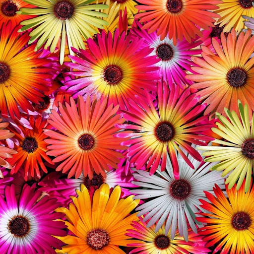 Hd-150537-ascw150537