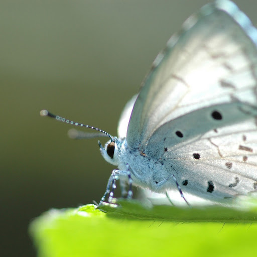 Hd-145732-ascw145732