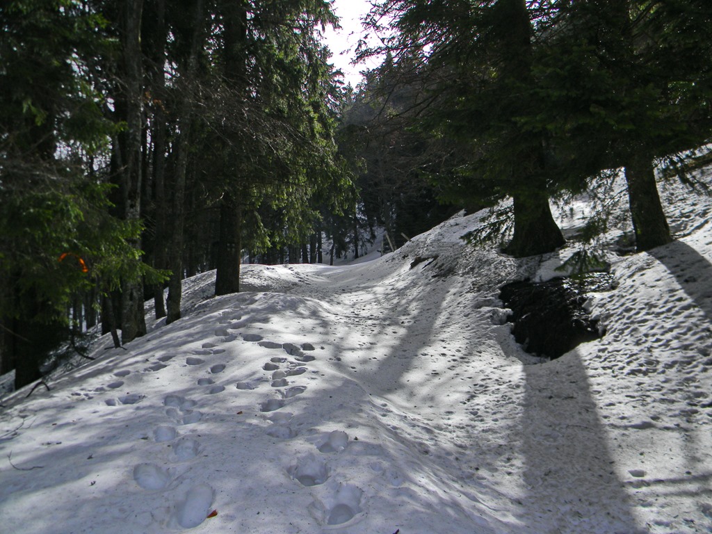 [DSCN64263.jpg]