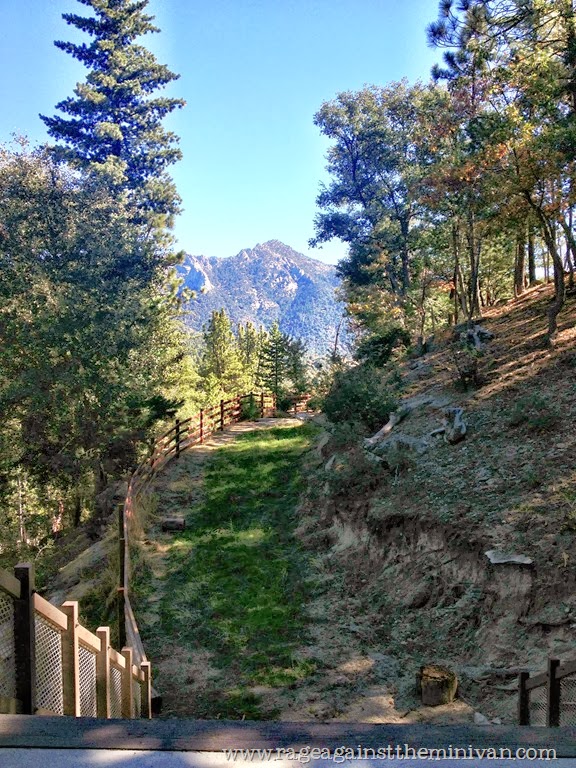 [IMG_7498%2520-%2520Copy%2520%25282%2529%2520-%2520Copy%255B3%255D.jpg]