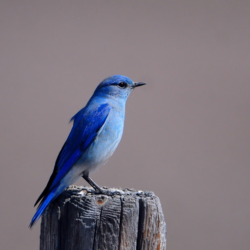 Hd-178539-ascw178539