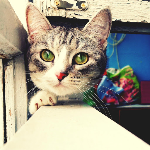 Hd-177489-ascw177489