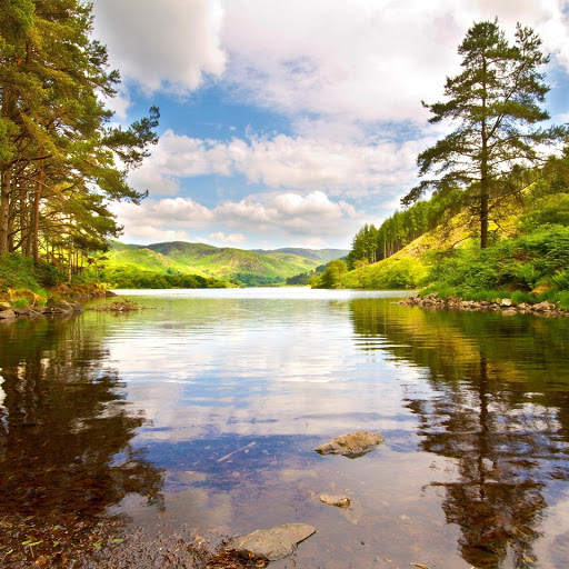 Hd-131843-ascw131843