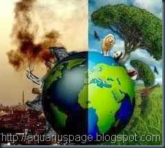 Meio-Ambiente-e-a-Transição-do-Planeta