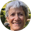 Image Google de Sylvie Virasolvy
